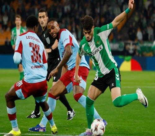 岁少年夺飞,镖世锦赛最,年轻冠军,火狐,HuoHu,火狐官网,火狐体育官网,火狐体育下载,火狐APP