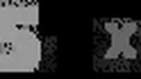 王曼昱晋级2025WTT福冈总决赛女单八强，人民日报微博公布